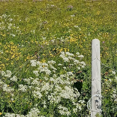 Сasa de vacaciones Mountain With Panoramic Views In Brakastolen *