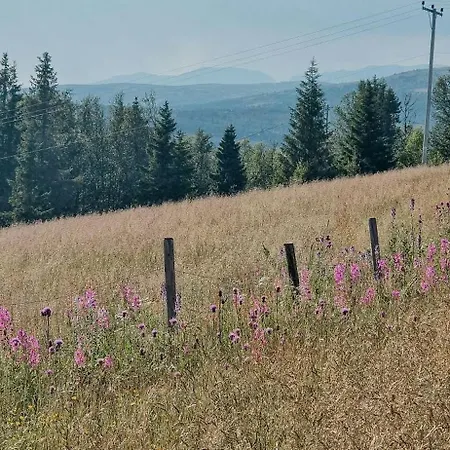 Mountain With Panoramic Views In Brakastolen
