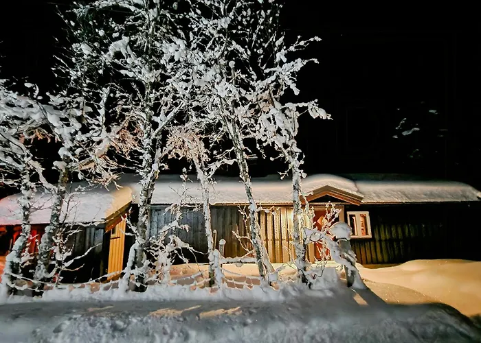 Semesterbostad Mountain With Panoramic Views In Brakastolen Ron