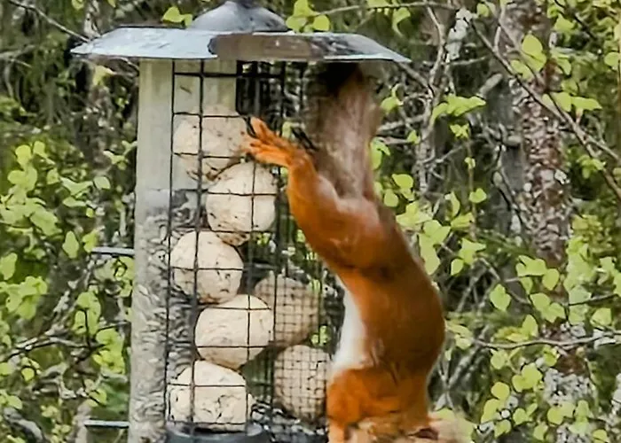Mountain With Panoramic Views In Brakastolen *