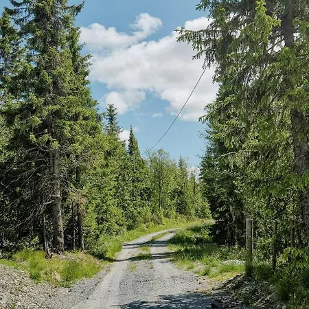 Hébergement de vacances Mountain With Panoramic Views In Brakastolen Ron